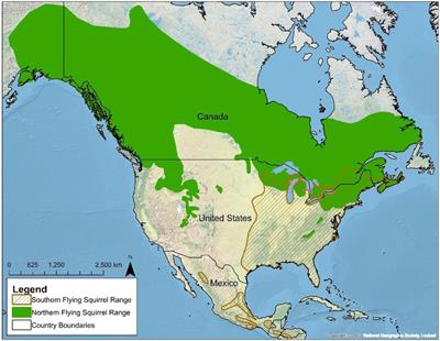 Anthropogenically-induced range expansion as an invasion front in native species: An example in North American flying squirrels